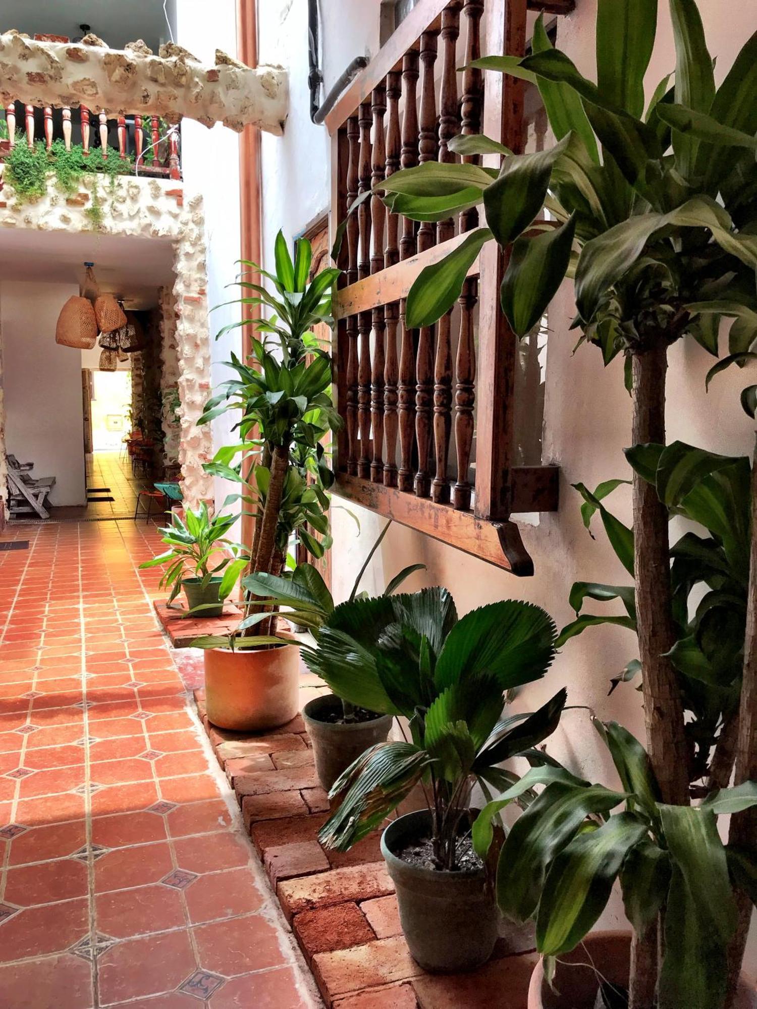 Pachamama Hostel Cartagena מראה חיצוני תמונה