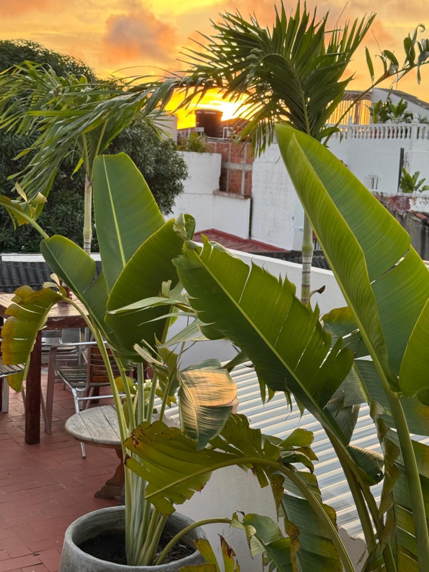 Pachamama Hostel Cartagena מראה חיצוני תמונה